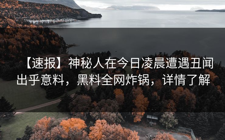 【速报】神秘人在今日凌晨遭遇丑闻出乎意料，黑料全网炸锅，详情了解